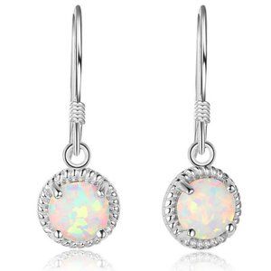 Brand New 925 Sterling Sliver Earring E003